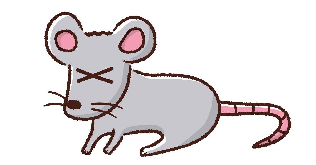 捕獲したネズミの殺処分方法・ネズミを殺さず追い出す駆除方法