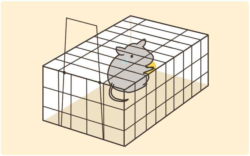 捕獲機でネズミを捕まえる図